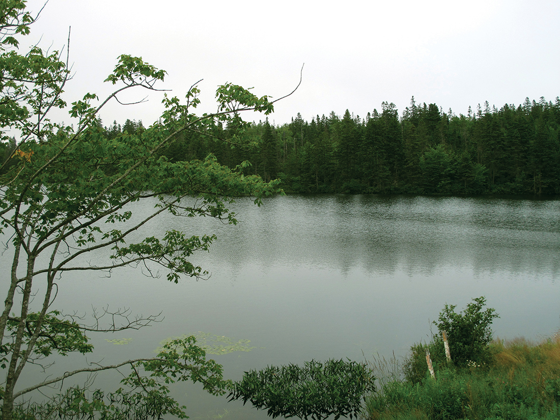 Lovett Lake, Beechville, Nova Scotia.
